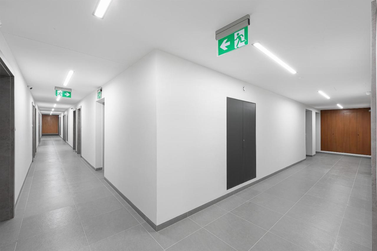 Native Apartments Rajska 3 Krakow Exterior photo